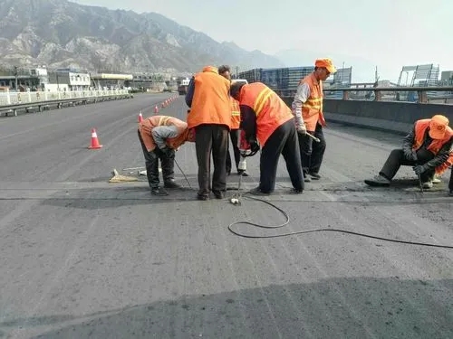 廉江道路桥梁病害治理